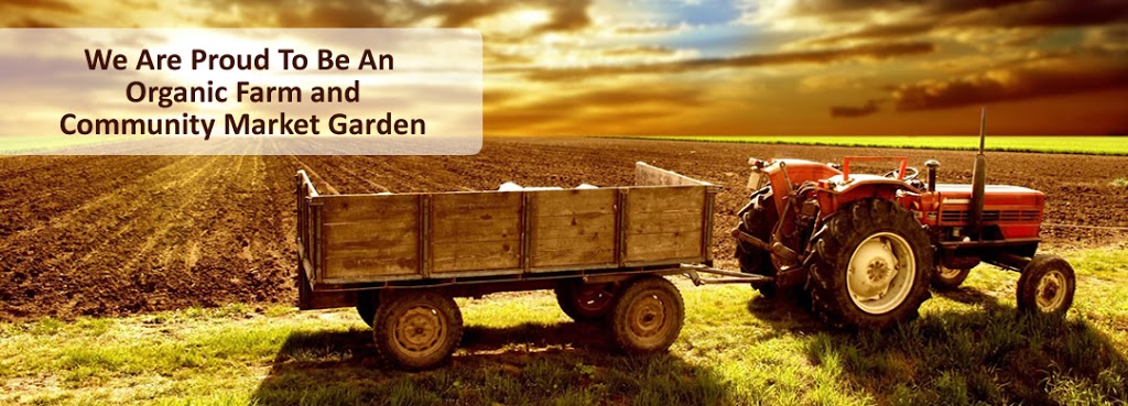 RC Organic Farms | 2022, 37400 30 Mile Rd, New Haven, MI 48050, USA | Phone: (989) 550-5223