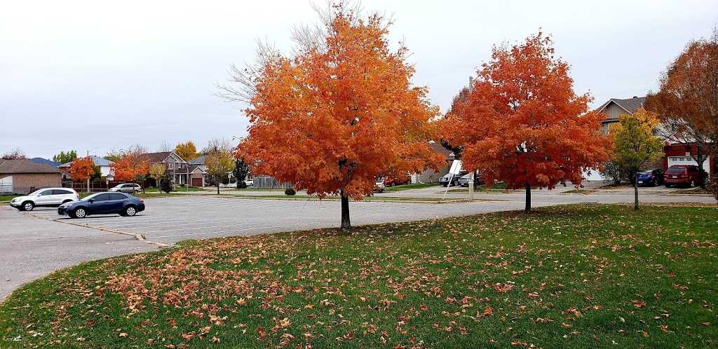 Niagara Park | 8C6, 360 Niagara Dr, Oshawa, ON L1G 8B8, Canada | Phone: (905) 436-3311