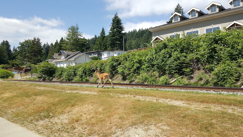Old Orchard Park | 600 Bentley Rd, Port Moody, BC V3H 2W6, Canada | Phone: (604) 469-4552