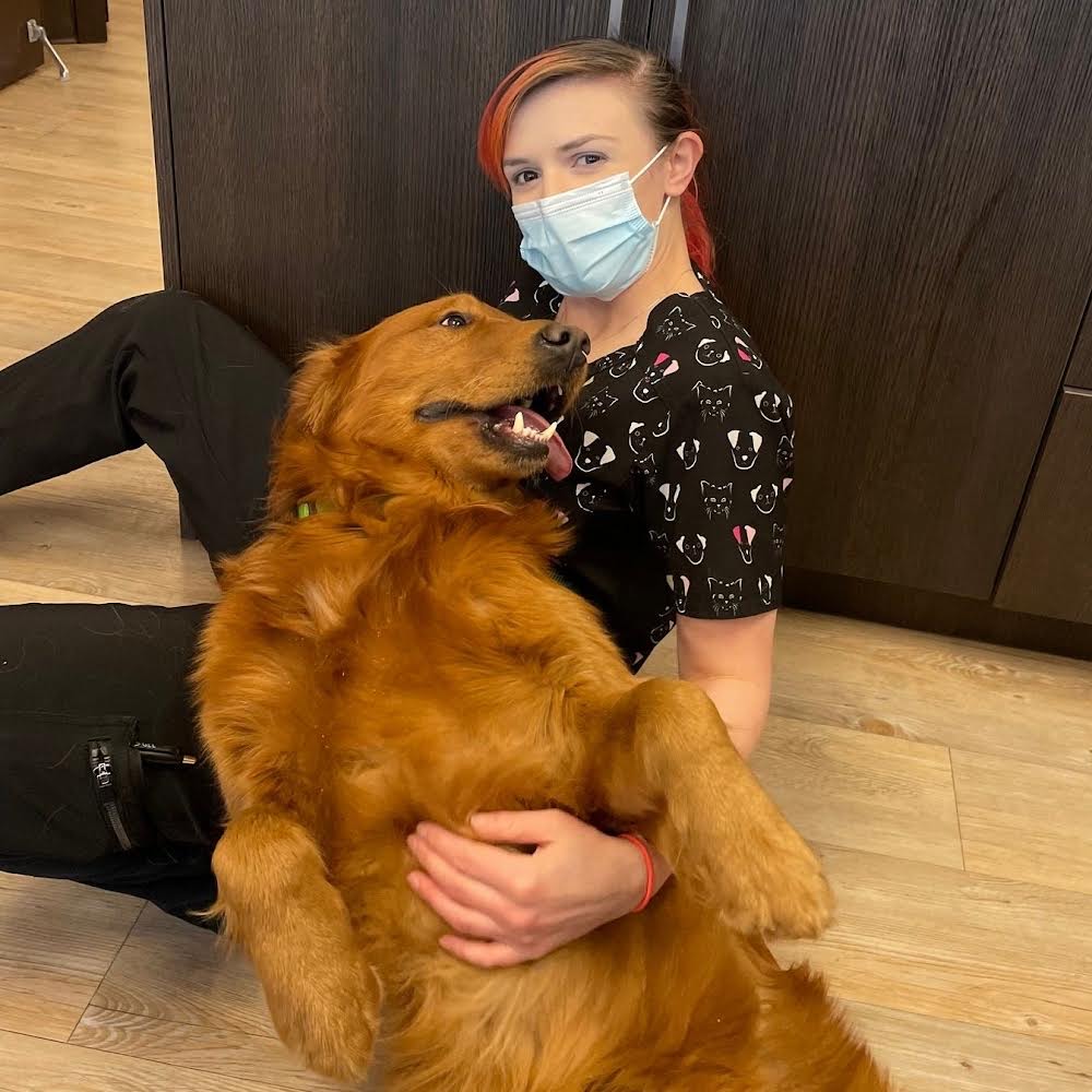 VCA Canada Marlborough Animal Hospital | 1440 52 St NE #186, Calgary, AB T2A 4T8, Canada | Phone: (403) 273-4664