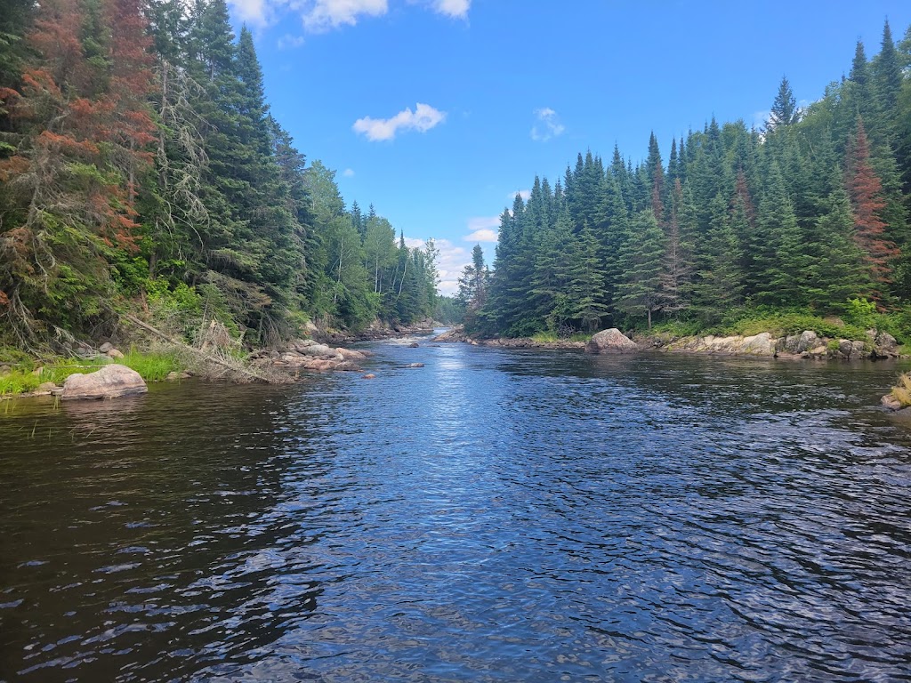 Halleys Camps One Man Lake Lodge | Minaki, ON P0X 1P0, Canada | Phone: (800) 465-3325