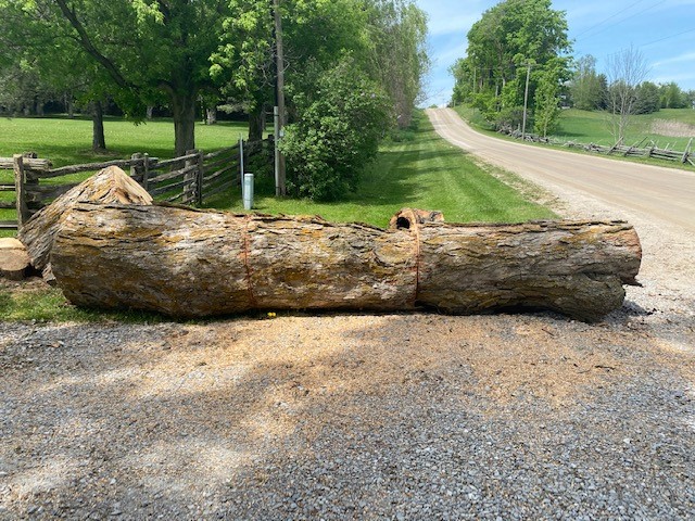 Williams Brothers Tree Svc | 308611 Hockley Rd, Orangeville, ON L9W 2Z2, Canada | Phone: (519) 941-3902
