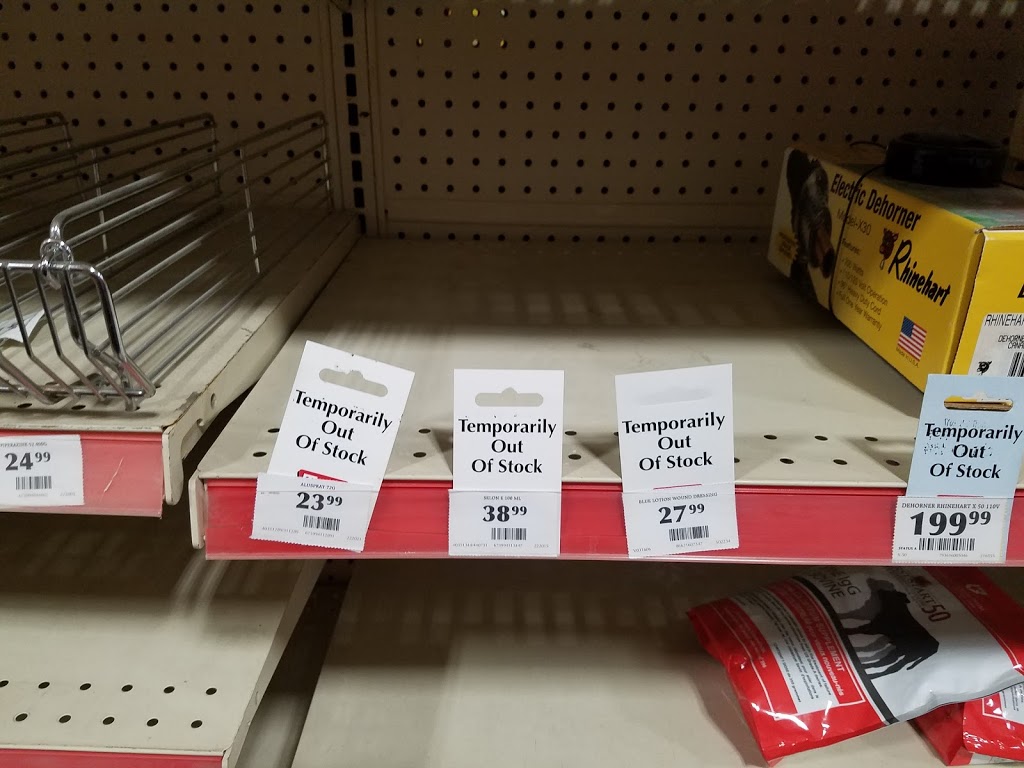 TSC Stores | 115 Edward St, St Thomas, ON N5P 3W8, Canada | Phone: (519) 637-8996