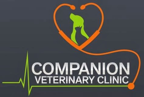 Companion Veterinary Clinic | veterinary care | 8 Blackburn Dr W Southwest, Edmonton, AB T6W 2K5, Canada | 7804394353 OR +1 780-439-4353