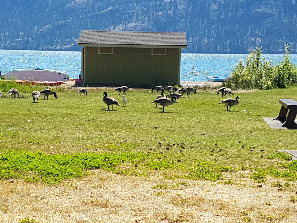Knox Mountain Park | 450 Knox Mountain Dr, Kelowna, BC V1Y 9X3, Canada
