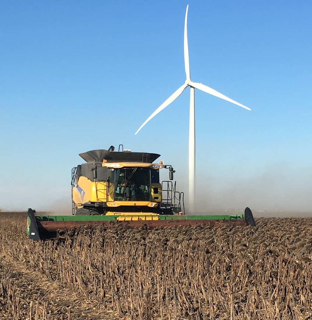 Remillard Seed Farm | Rd 2 E, Manitoba R0G, Canada, Canada | Phone: (204) 324-4106