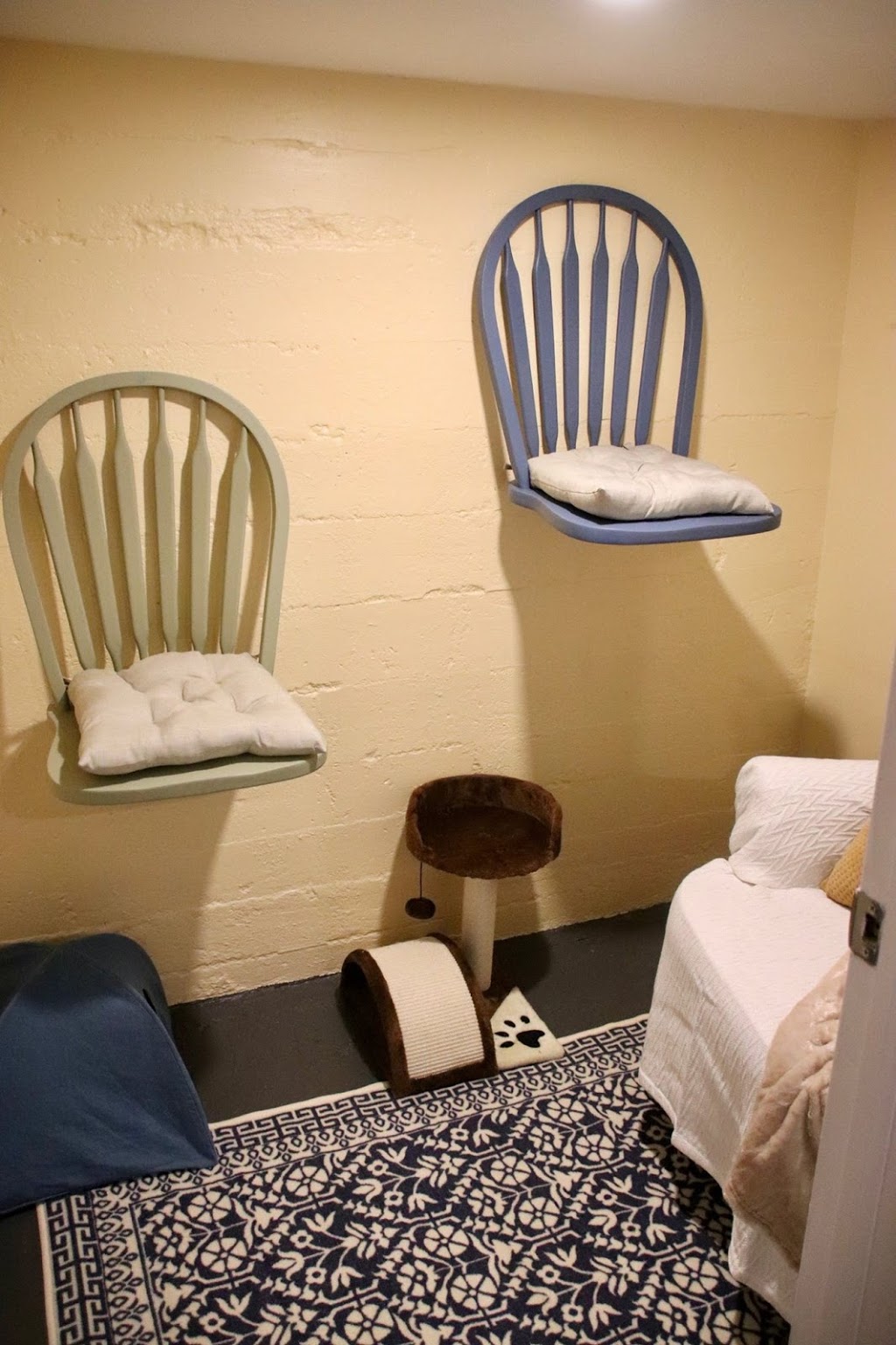Cann Lake Cattery | 1393 Brunel Rd, Huntsville, ON P1H 2J3, Canada | Phone: (705) 789-9181
