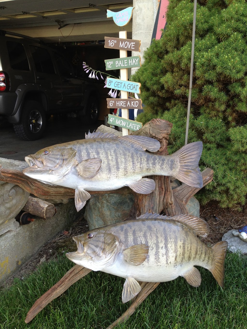 Brians Blue Water Bait &Tackle | 8089 Dixie Hwy #1, Ira Township, MI 48023, USA | Phone: (586) 725-1448