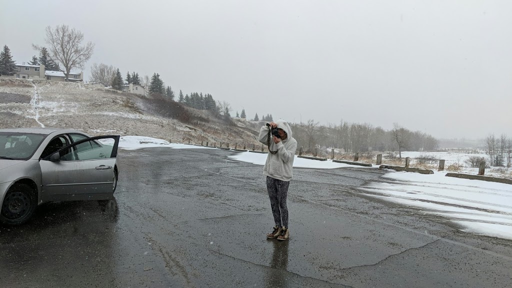 Votiers Flats Fish Creek Park | 13511 Elbow Dr SW, Calgary, AB T2W 2P2, Canada