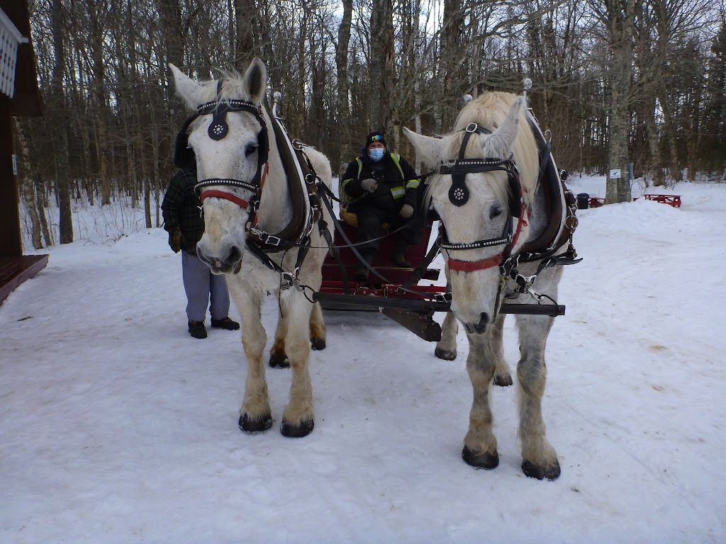 Potts Sleigh Rides | 439 Bonshaw Rd, Bonshaw, PE C0A 1C0, Canada | Phone: (902) 675-2107