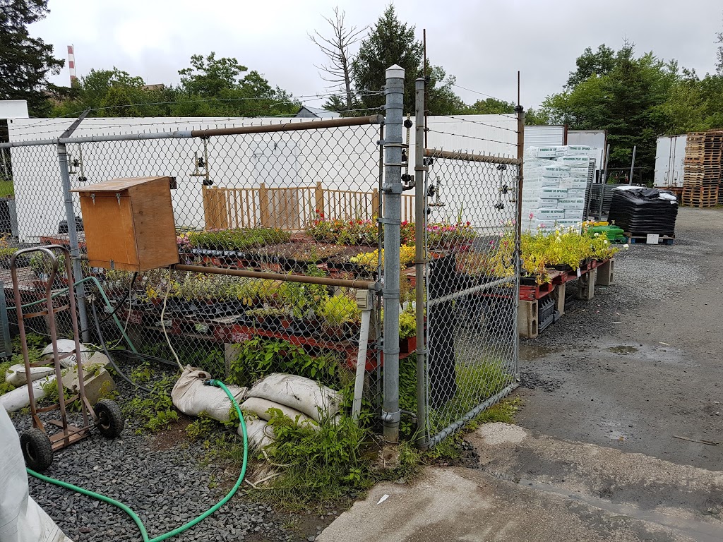 The Farmers Market | 83 Bowes St, Parry Sound, ON P2A 2L8, Canada | Phone: (705) 746-2424
