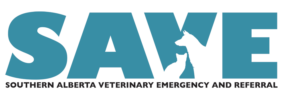 SAVE - Southern Alberta Veterinary Emergency | 322233 15th Street East, Okotoks, AB T1S 1A6, Canada | Phone: (403) 995-3270