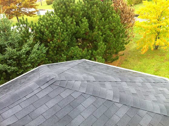 Anavrin Group Inc | 55 Cameron Rd, Kingston, PE C0A 1H3, Canada | Phone: (902) 940-0337