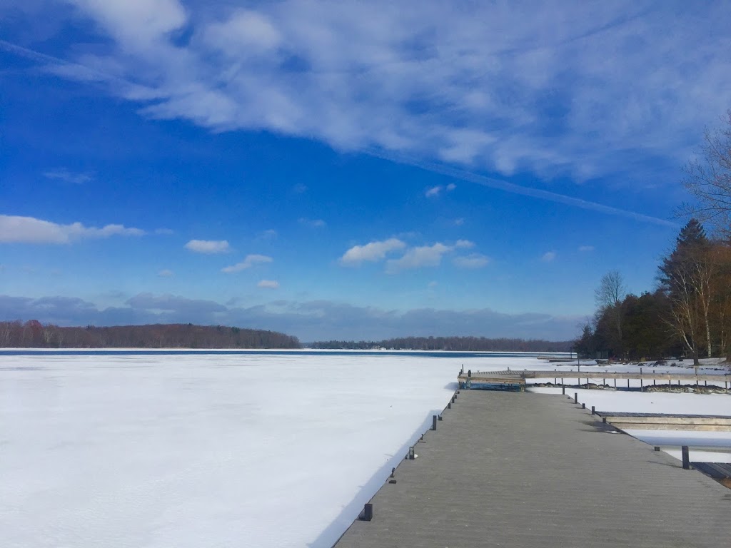 Gannons Narrows Marina | 1800 Tara Rd, Ennismore, ON K0L 1T0, Canada | Phone: (705) 292-5695
