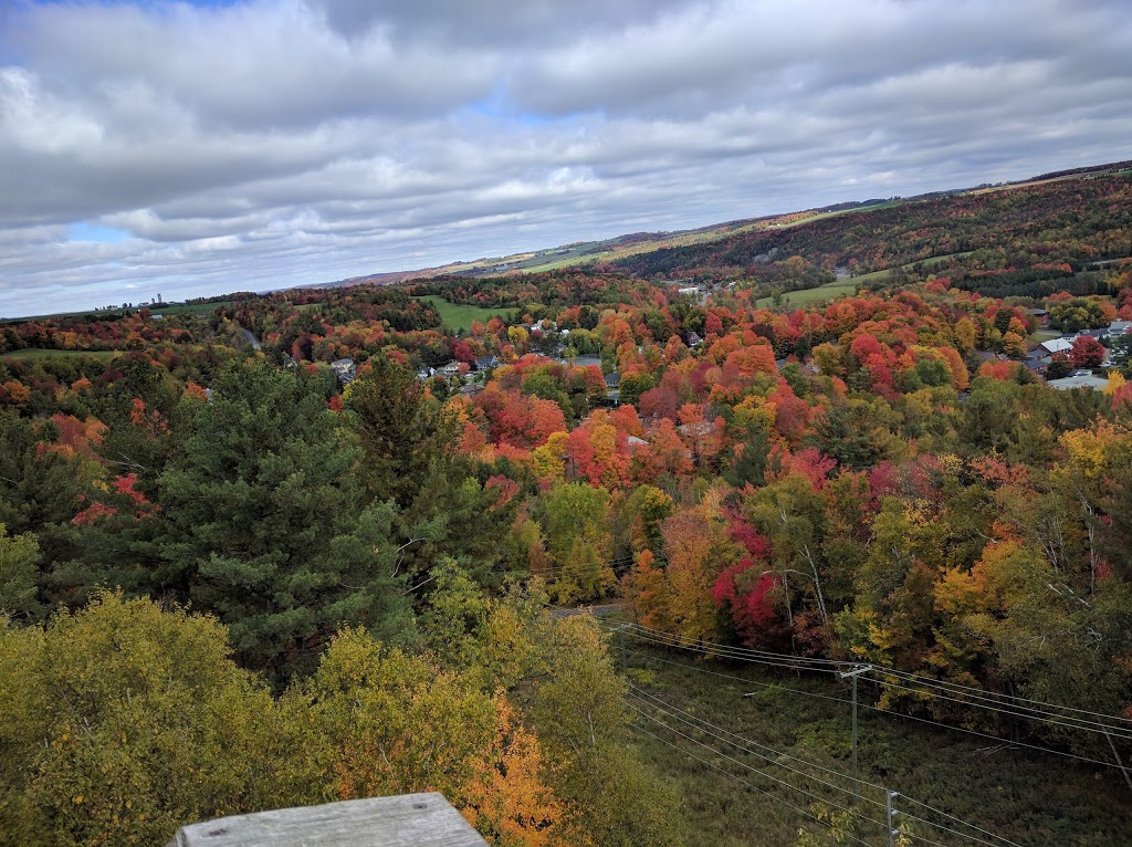 LE PARC DE LA GORGE DE COATICOOK | 400 Rue Saint-Marc, Coaticook, QC J1A 2R9, Canada | Phone: (888) 524-6743