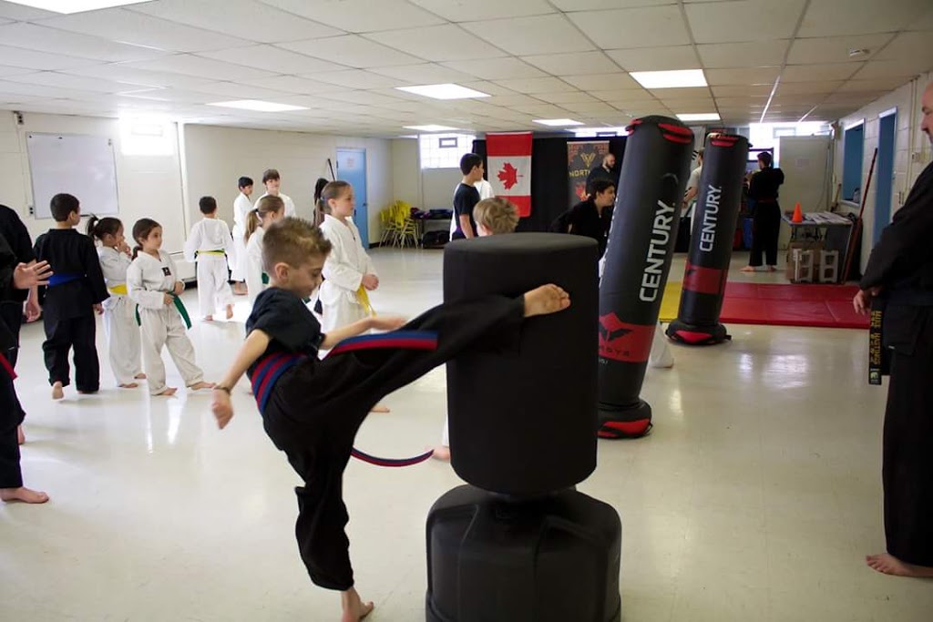 Northern Fist Martial Arts | 4276 Roseland Dr E, Windsor, ON N9G 1Y7, Canada | Phone: (226) 782-9456