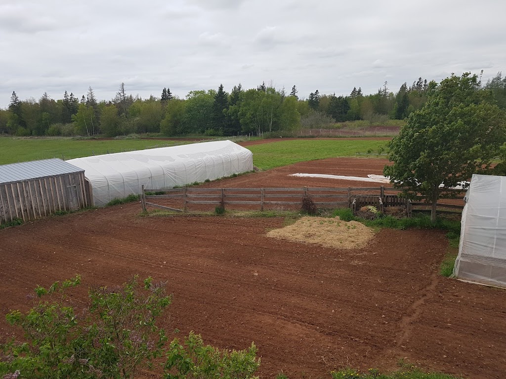 Emmerdale Eden Farm | 10 Emery Rd, Summerside, PE C1N 4J8, Canada | Phone: (902) 436-5180