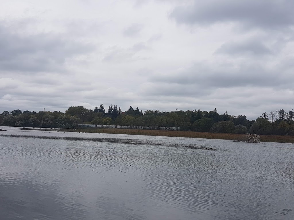 Ellacott Lookout | 235 Queen St E, Cambridge, ON N3C 2B5, Canada