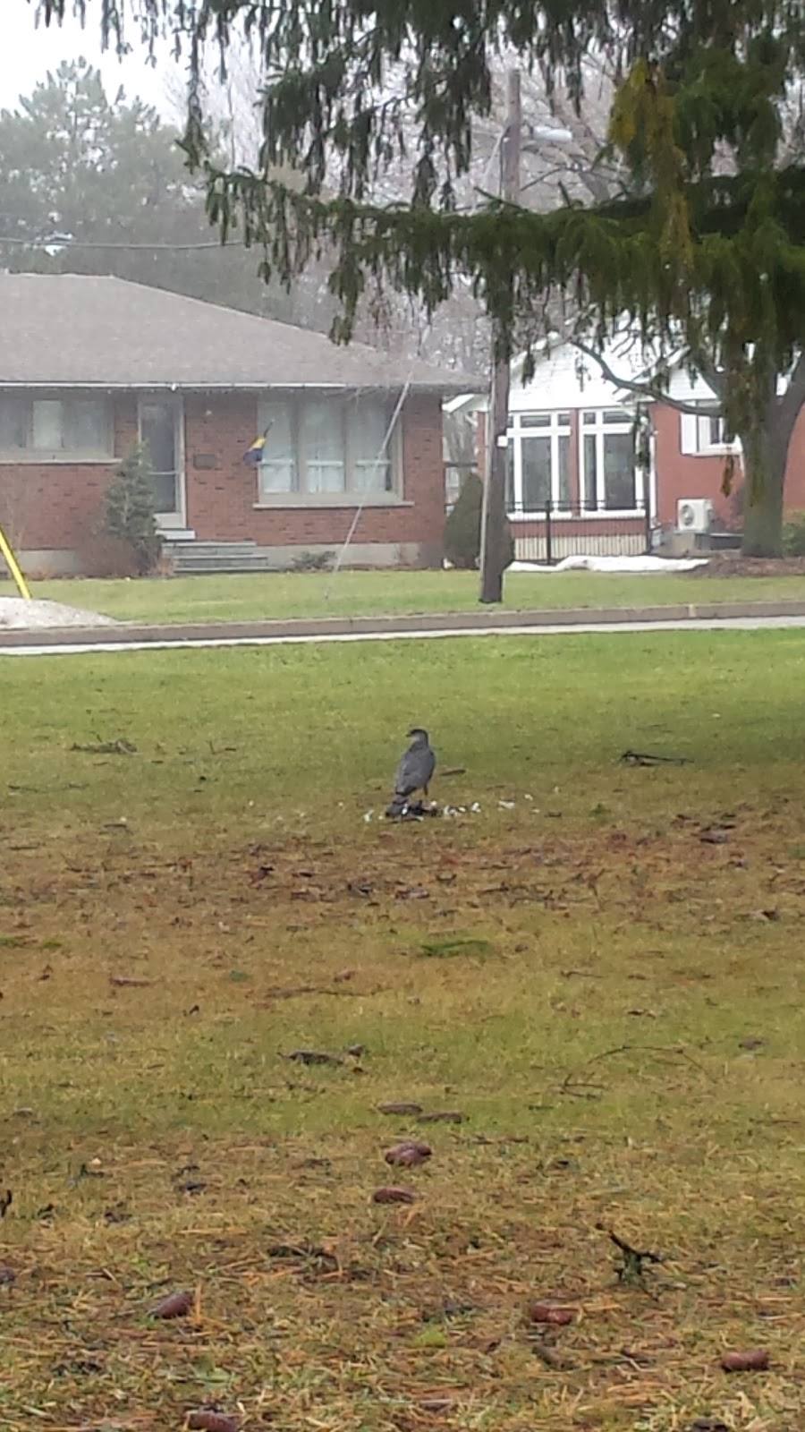 Corner Farm Market 206 Blandford St, Innerkip, ON N0J 1M0, Canada