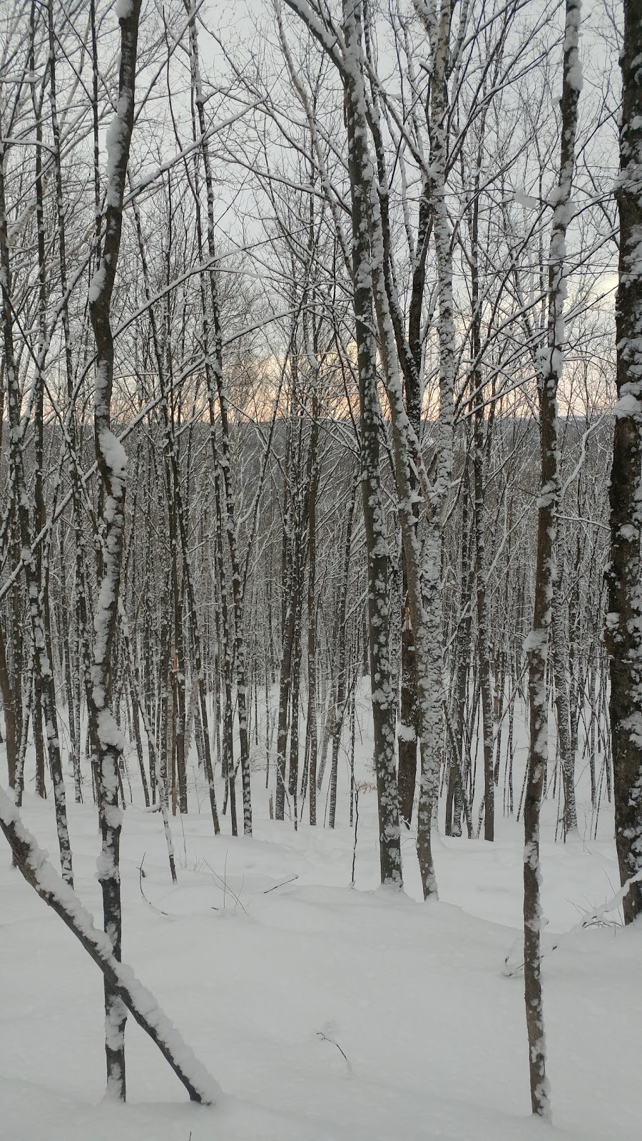 Scowen Park | 3127 Ch. Capelton, North Hatley, QC J0B, Canada