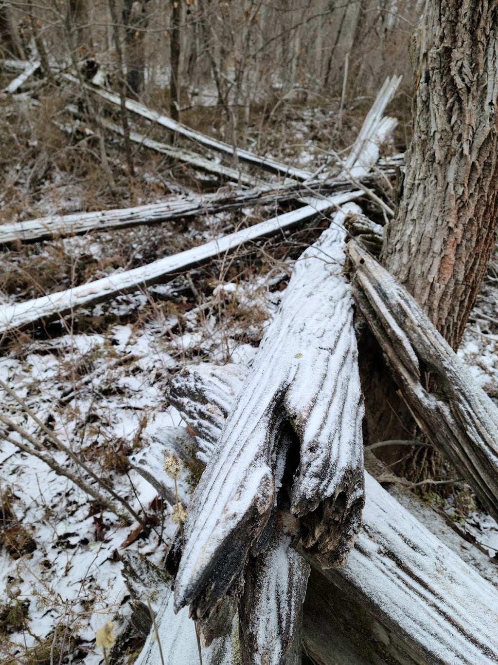 Severn Quarry | 2646 Nichols Line, Orillia, ON L3V 6H3, Canada | Phone: (705) 689-6800