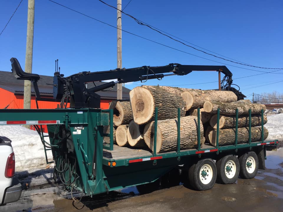 Emondage Villiard Enr | 8451 des, Rue des Tourterelles, Sorel-Tracy, QC J3R 5N6, Canada | Phone: (450) 746-1960