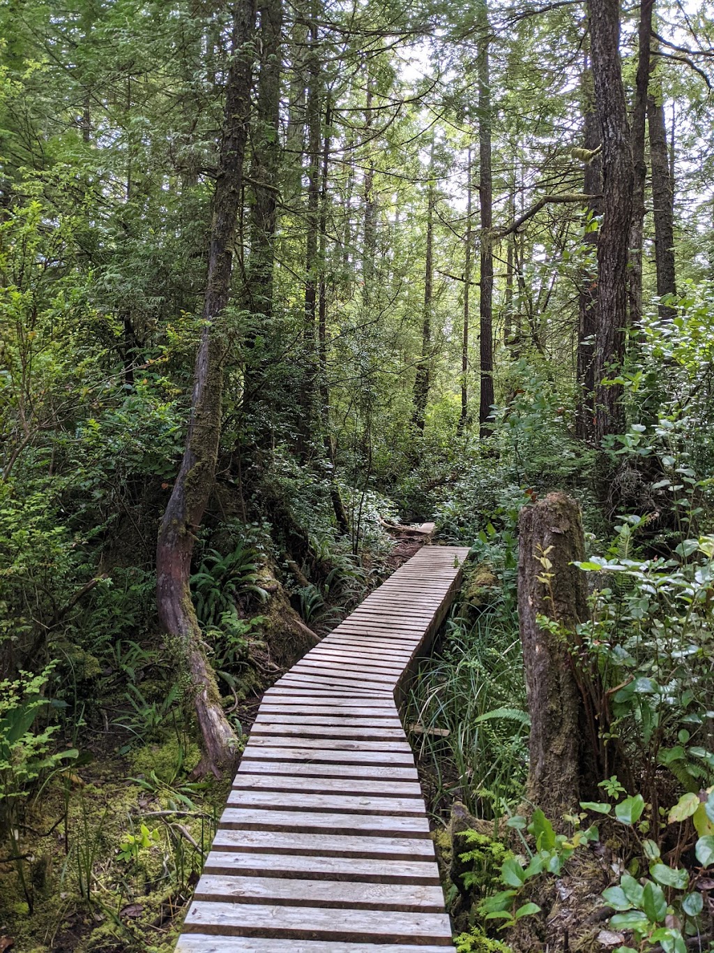 Kiixin Tours | East Government Dock, 226 Frigate Rd, Bamfield, BC V0R 1B0, Canada | Phone: (250) 735-3432