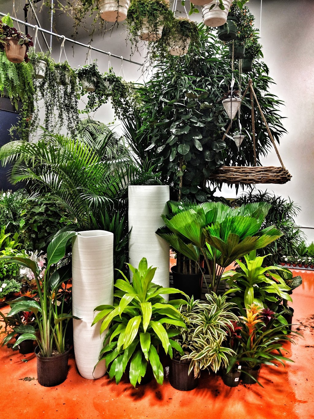 Beech Nursery InHouse | 6 Carlaw Ave #103, Toronto, ON M4M 2R5, Canada | Phone: (416) 461-1461