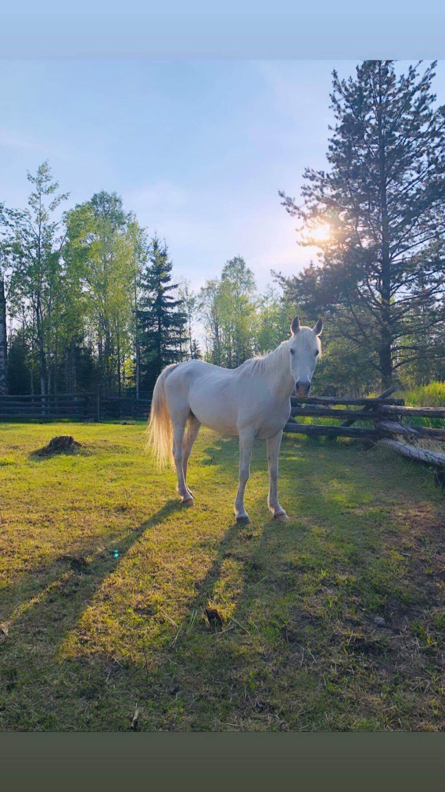 ORREN CREEK RANCH | Lone Butte, BC V0K 1X2, Canada | Phone: (360) 726-3788