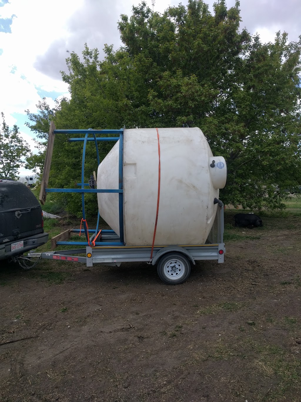 4K Farms Butchery Inc. | Township Rd 302, Swalwell, AB T0M 1Y0, Canada | Phone: (403) 397-3236