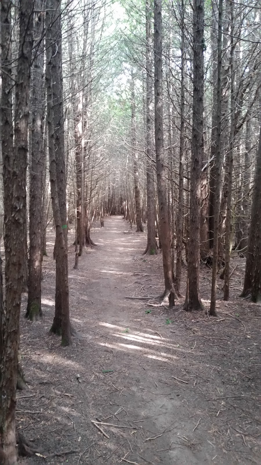 Preservation Park | 226 Kortright Rd W, Guelph, ON N1G 4Y9, Canada