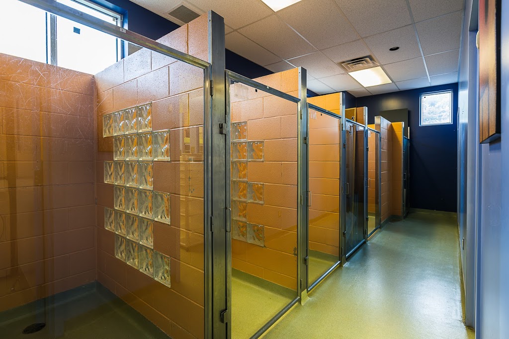 Globalvet - Veterinary Clinic Loretteville | 10935 Boulevard de lOrmière, Québec, QC G2B 3L5, Canada | Phone: (418) 842-5048