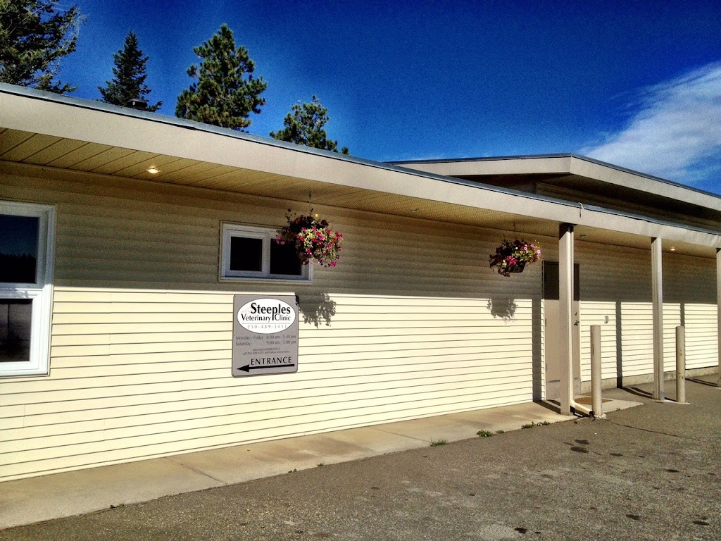 Steeples Veterinary Clinic | 3410 Victor Rd, Cranbrook, BC V1C 7B7, Canada | Phone: (250) 489-3451