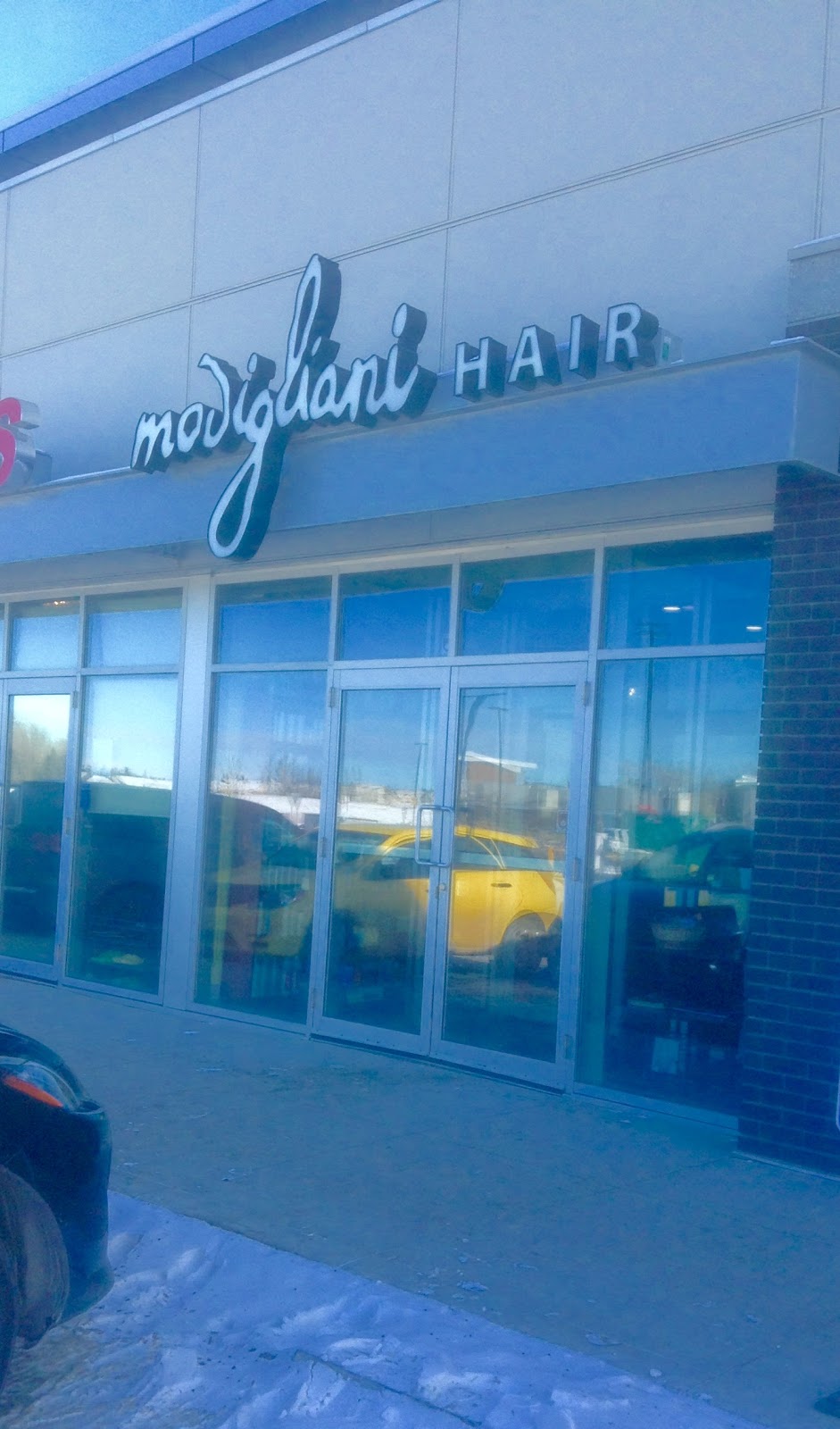 Modigliani Hair Ltd | 826 Webber Greens Dr NW, Edmonton, AB T5T 4V4, Canada | Phone: (780) 487-0999