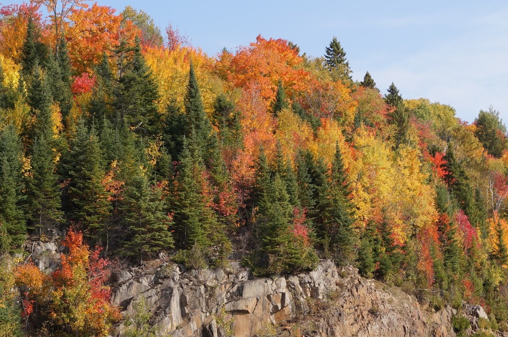 Auberge/Restaurant Lile De France | 2188 Chemin du Tour du Lac, Nominingue, QC J0W 1R0, Canada | Phone: (819) 278-0364