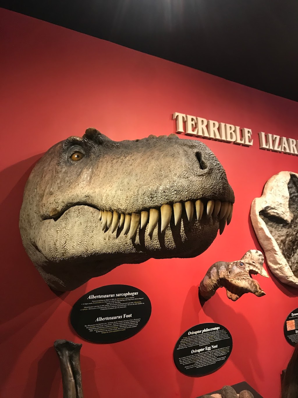Big Valley Creation Science Museum | 41 Railway Ave S #33, Big Valley, AB T0J 0G0, Canada | Phone: (403) 876-2100