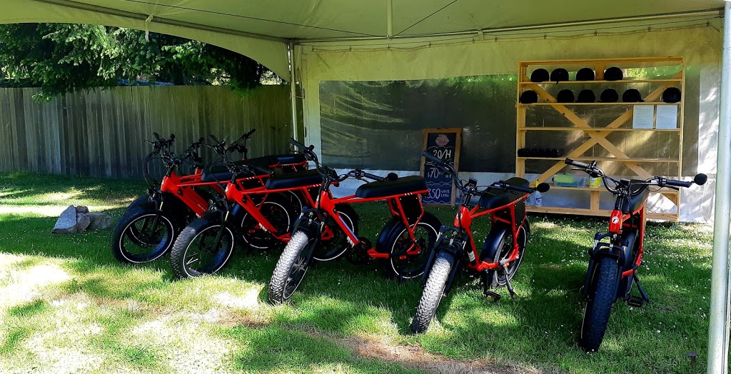 GoTomato.ca | 455 Dixon Rd, Mayne Island, BC V0N 2J2, Canada | Phone: (672) 882-9766