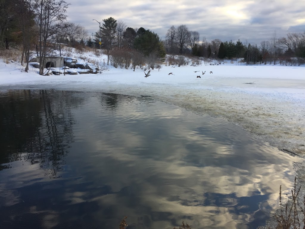 Stormwater Management Pond | Great Lakes Blvd, Oakville, ON L6L, Canada