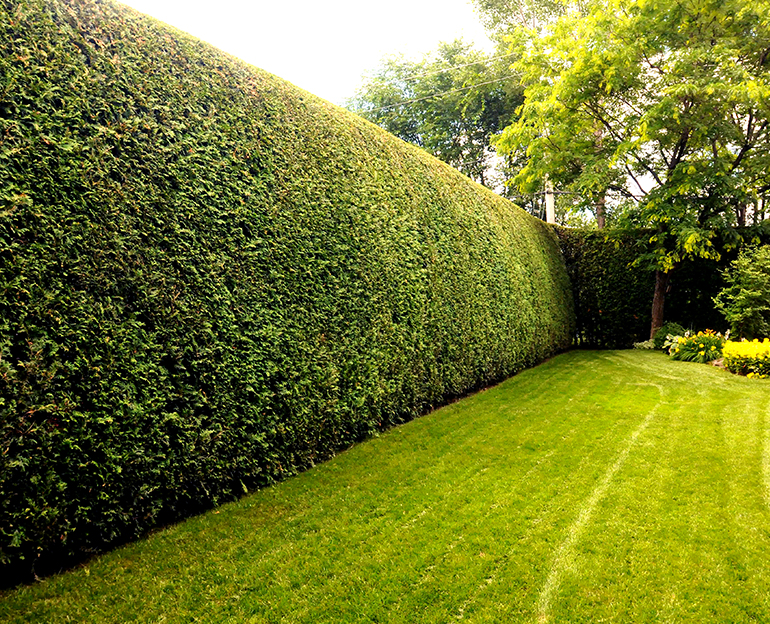 Espaces Verts LEKS | 17566 Boul Gouin O, Pierrefonds-Roxboro, QC H9J 1A8, Canada | Phone: (514) 999-3738