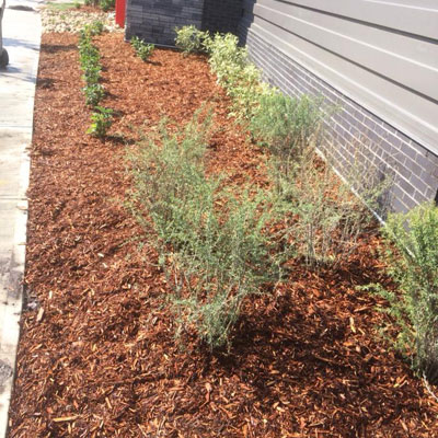 TLS LawnCare and Landscaping | 15 St NW, Prince Albert, SK S6V5S4, SK S0J 2N0, Canada | Phone: (306) 960-3430