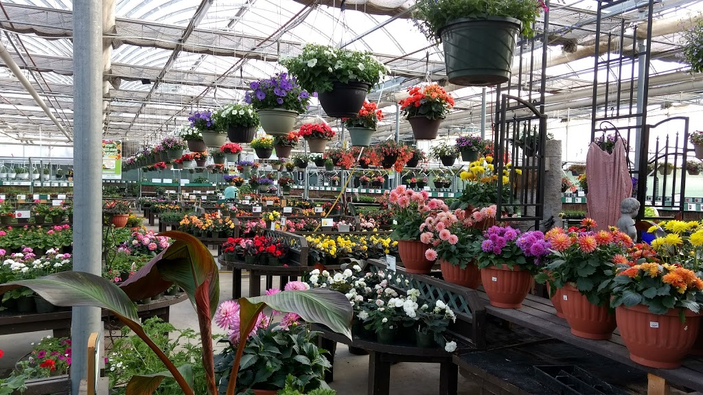 Root Seller, The | 16735 Zaychuk Rd NW, Edmonton, AB T5Y 6G5, Canada | Phone: (780) 473-2588