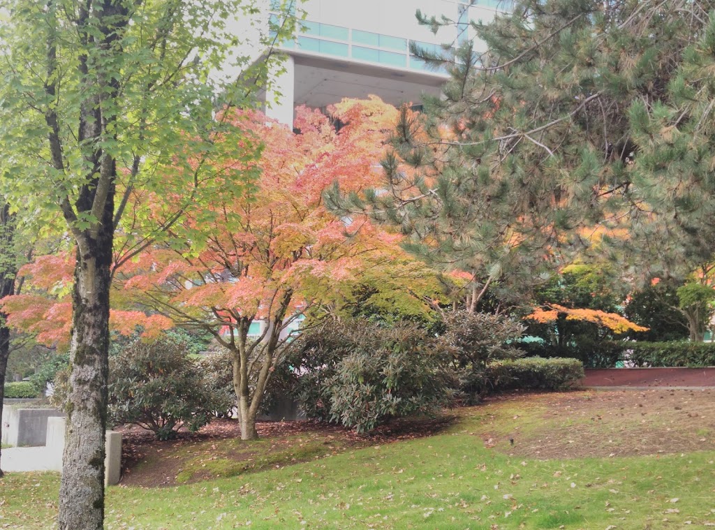 BC Hydro Edmonds | 6911 Southpoint Dr, Burnaby, BC V3N 4X8, Canada | Phone: (604) 224-9376