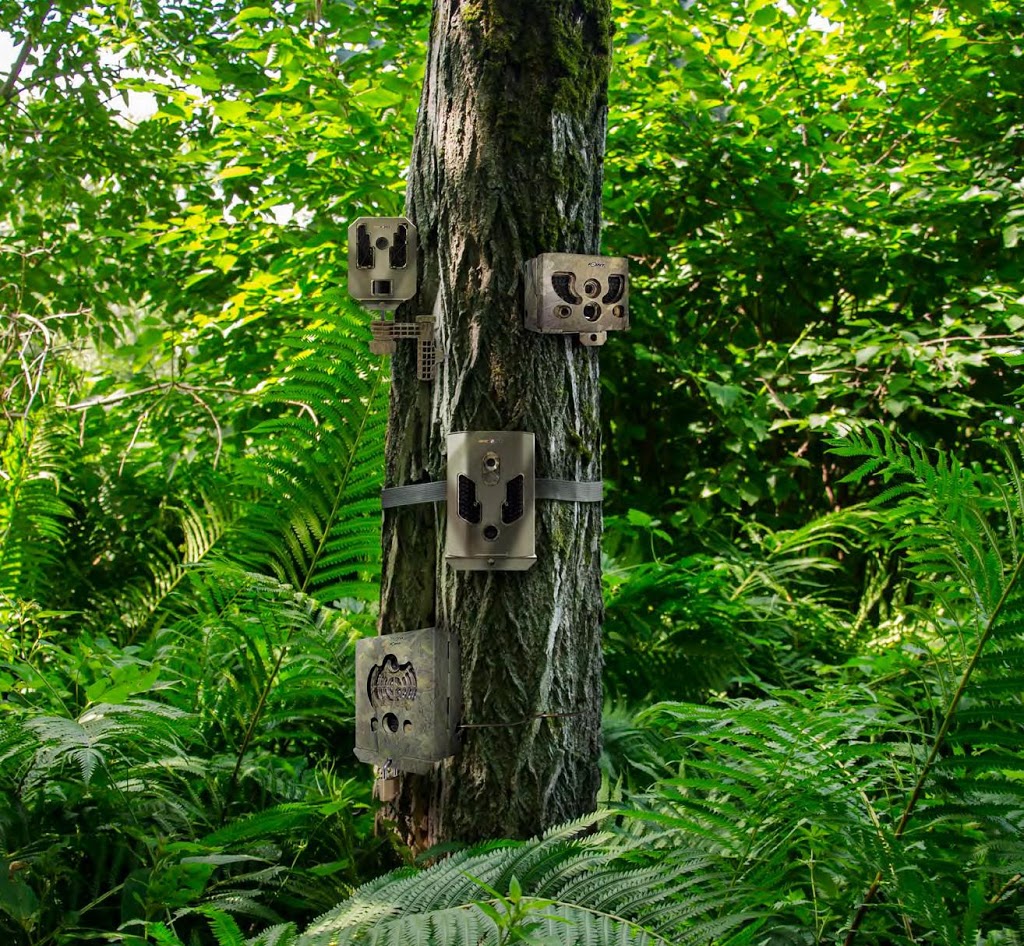 Whitetails Crossing Outdoors | 28 Evergreen Crescent, Wasaga Beach, ON L9Z 1B6, Canada | Phone: (705) 441-7373