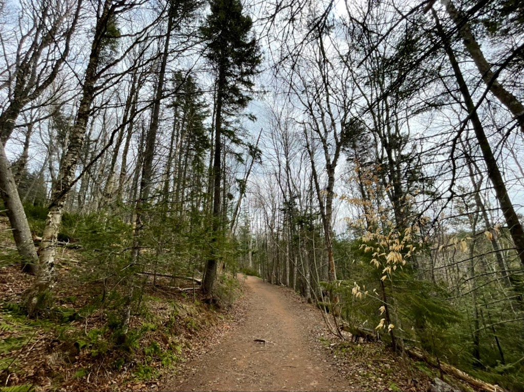 Bonshaw Hills Provincial Park | 29 Green Rd, Bonshaw, PE C0A 1C0, Canada | Phone: (902) 859-8790