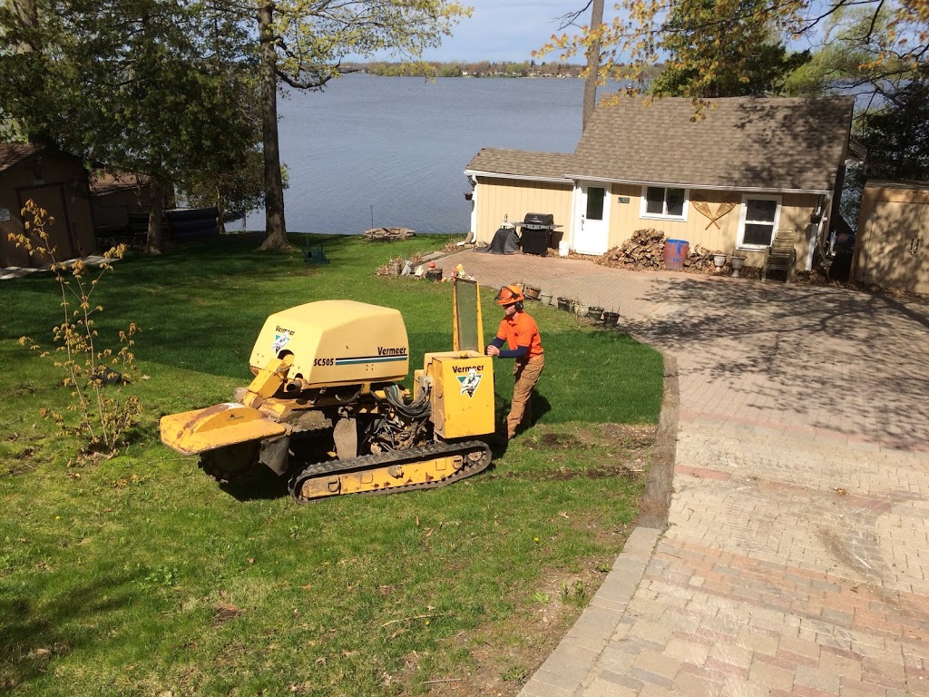 EVANS TREE WORK | 9 Hooper Square, Bowmanville, ON L1C 4X7, Canada | Phone: (905) 718-9528