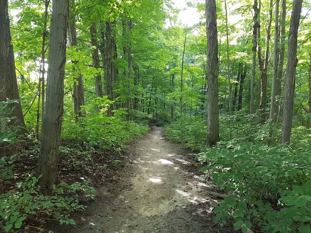 Pibline Park | 2125 Springridge Drive, London, ON N5X 0A8, Canada