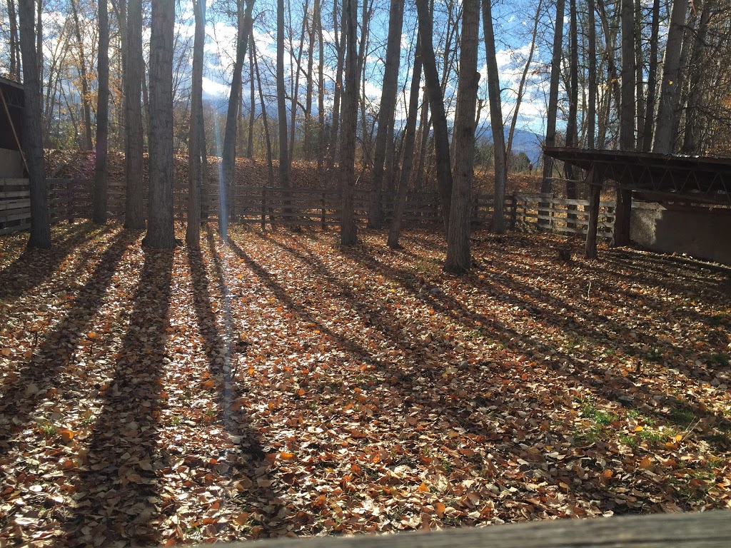 Kelowna Urban Farm and RV Park | 2075 K. L. O. Rd, Kelowna, BC V1W 2H9, Canada | Phone: (250) 870-8998