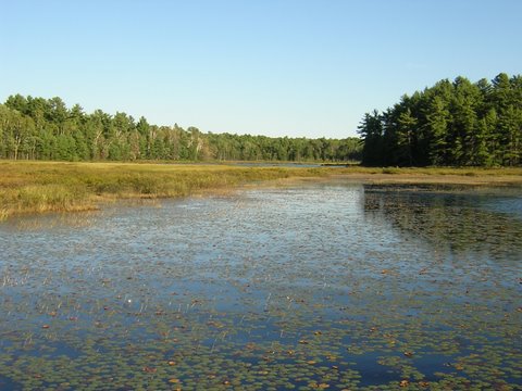 Hidden Bay Leadership Camp | 200 Shebeshekong Rd, Nobel, ON P0G 1G0, Canada | Phone: (705) 342-7345