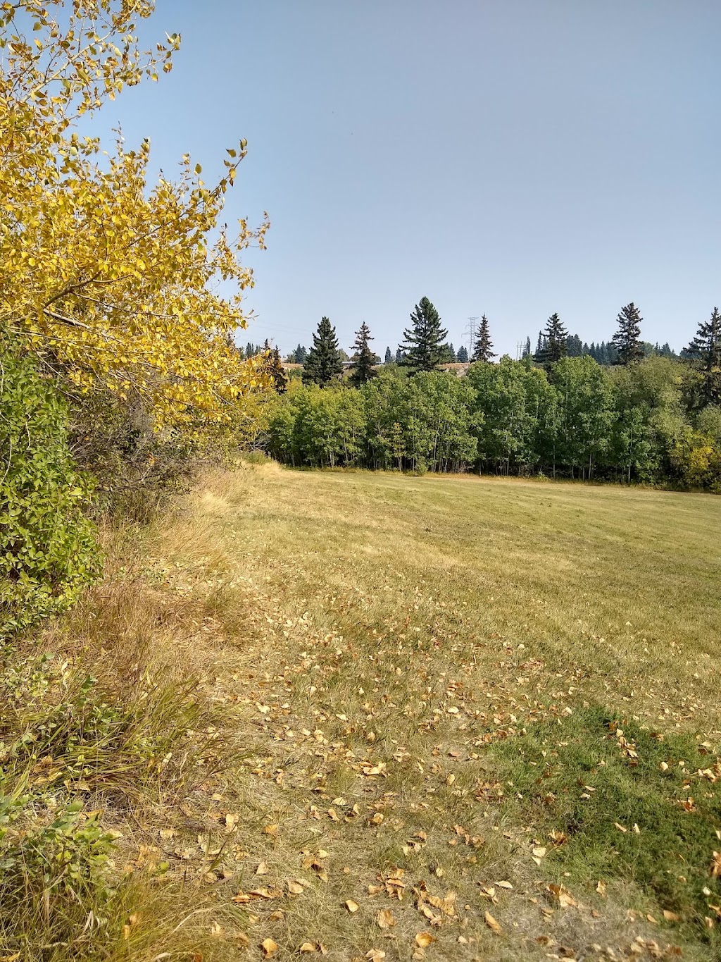 YMCA Camp Riveredge | 1215 50 Ave SW, Calgary, AB T2T 2V8, Canada | Phone: (403) 700-4421