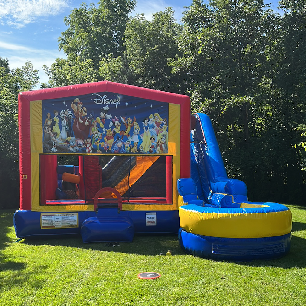 AdventureMania Inflatables | point of interest | 934 Concession 4 W, Waterdown, ON L8B 1J9, Canada | 9058643290 OR +1 905-864-3290